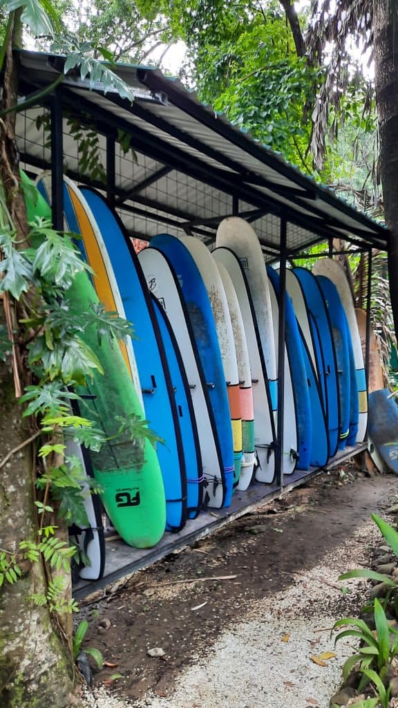 Unsere boards für Anfänger